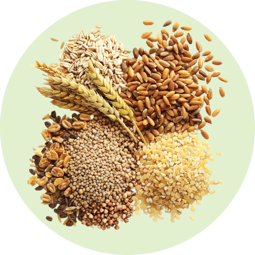 Thực Phẩm Các Loại