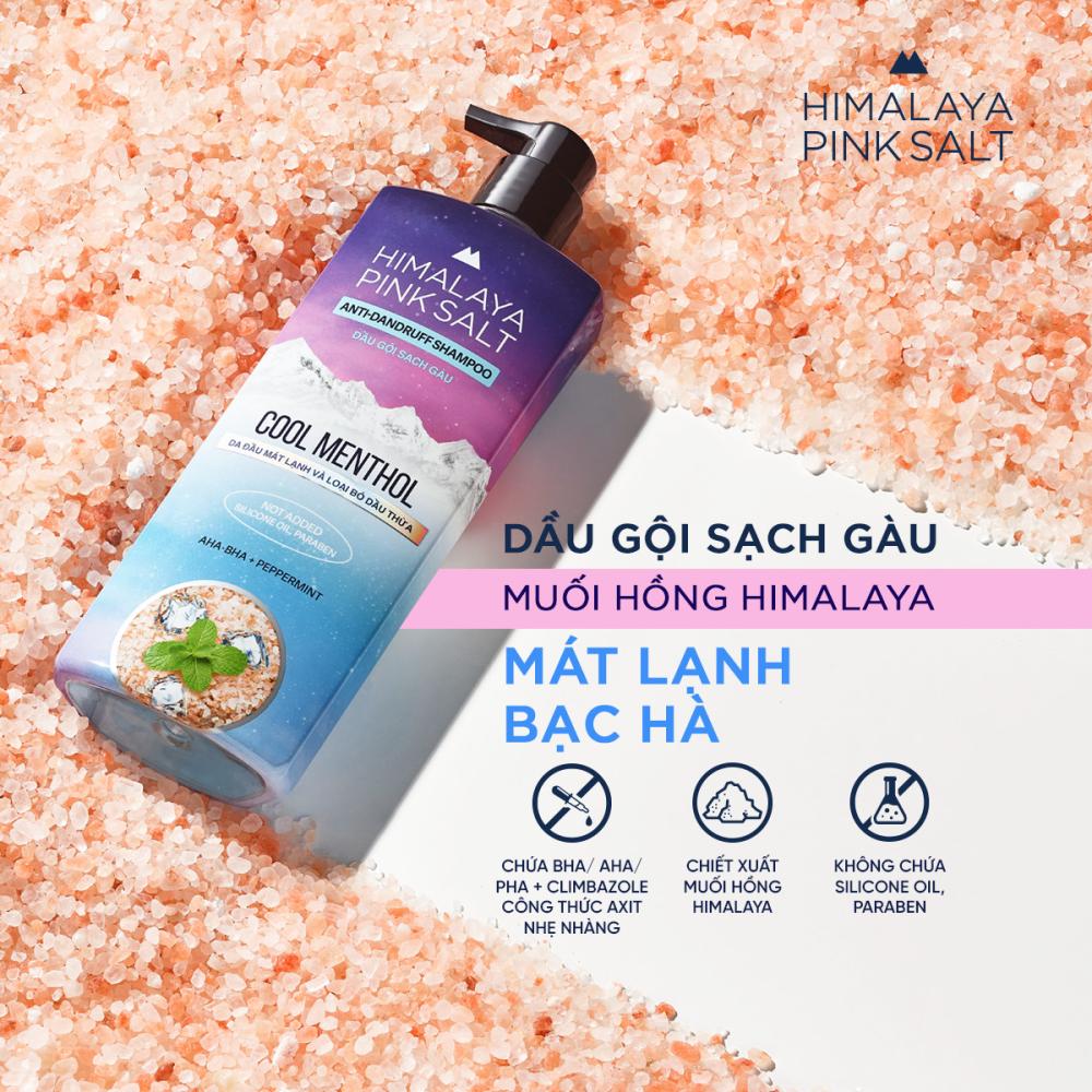 DG Sạch Gàu Muối Hồng Himalaya Bạc Hà Chai 650ml siêu thị mena gourmet market