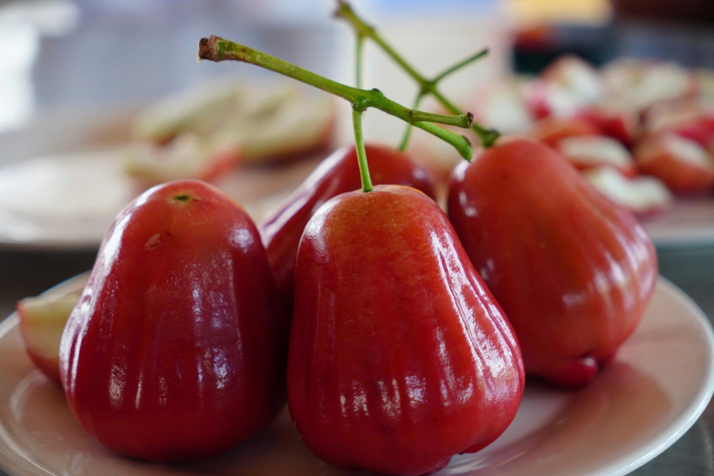 bán Mận Đỏ An Phước