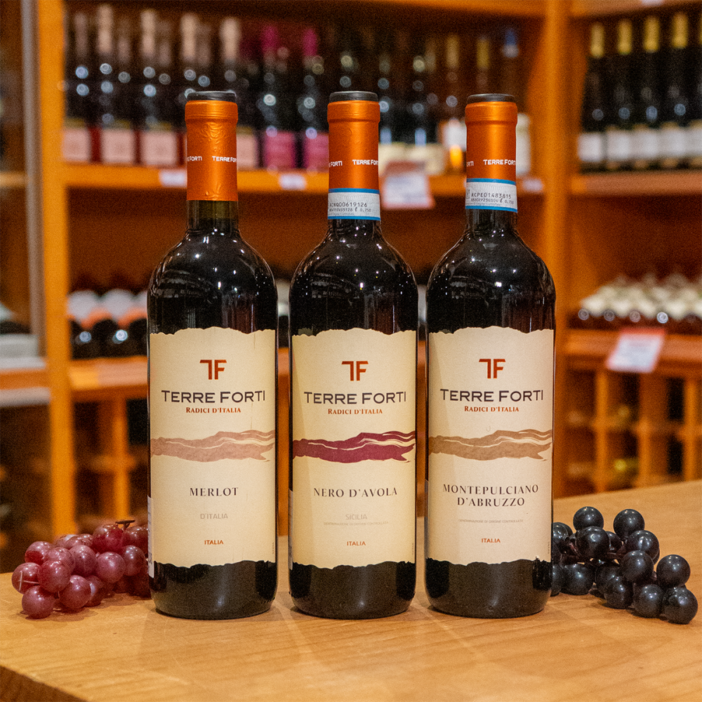 Rượu Vang Đỏ Terre Forti Montepulciano DAbruzzo Chai 750ml