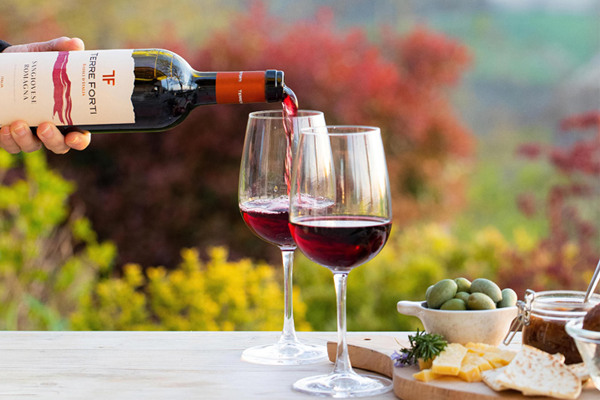 Terre Forti Montepulciano DAbruzzo 750ml