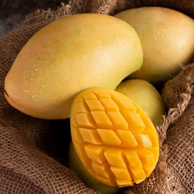 xoài cát chu vàng loại 1