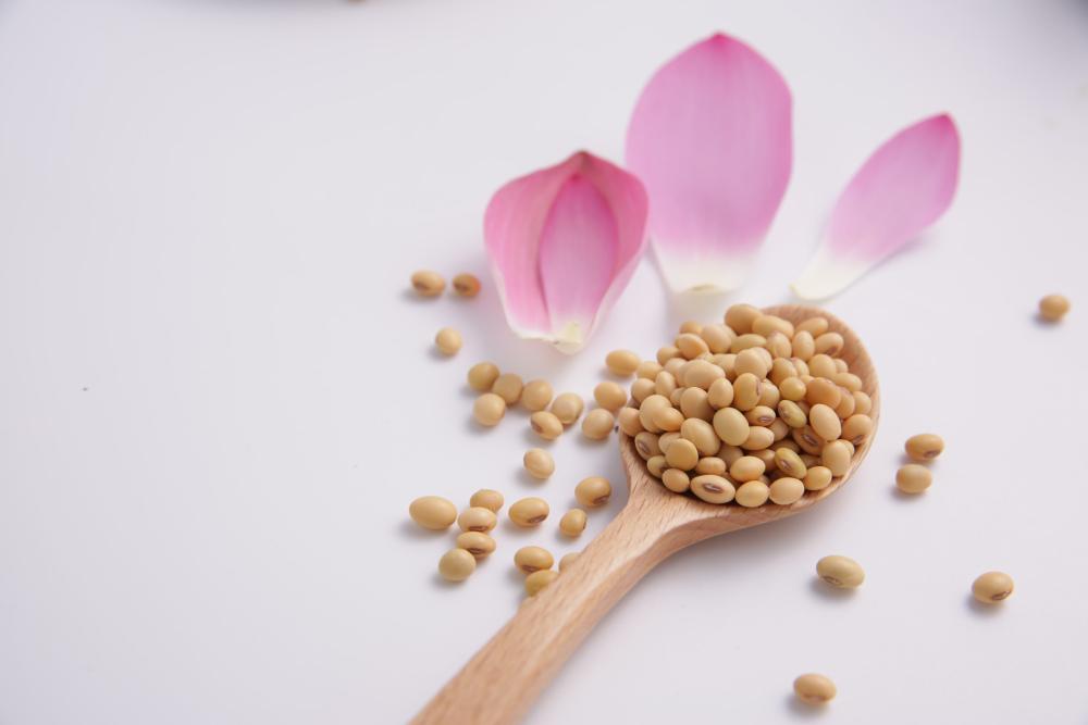 Đậu Nành Phú Minh Tâm Gói 450g siêu thị mena