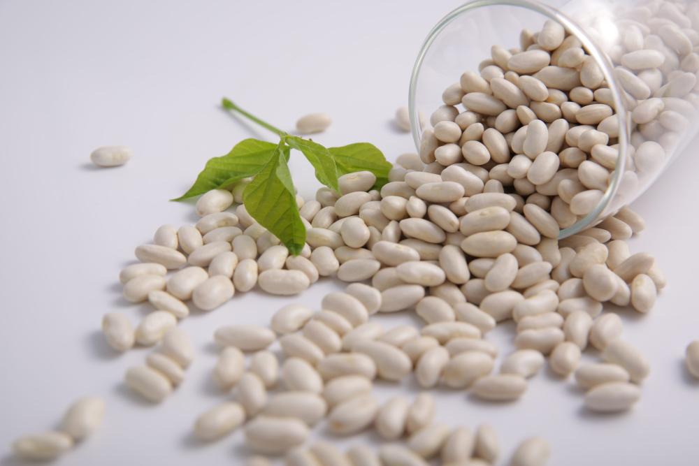 Đậu Trắng Phú Minh Tâm Gói 450g siêu thị mena