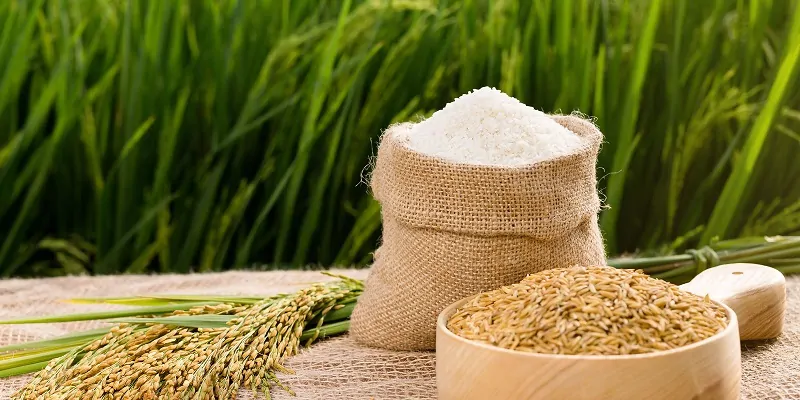 mua Nếp Bắc Cái Hoa Túi 2Kg