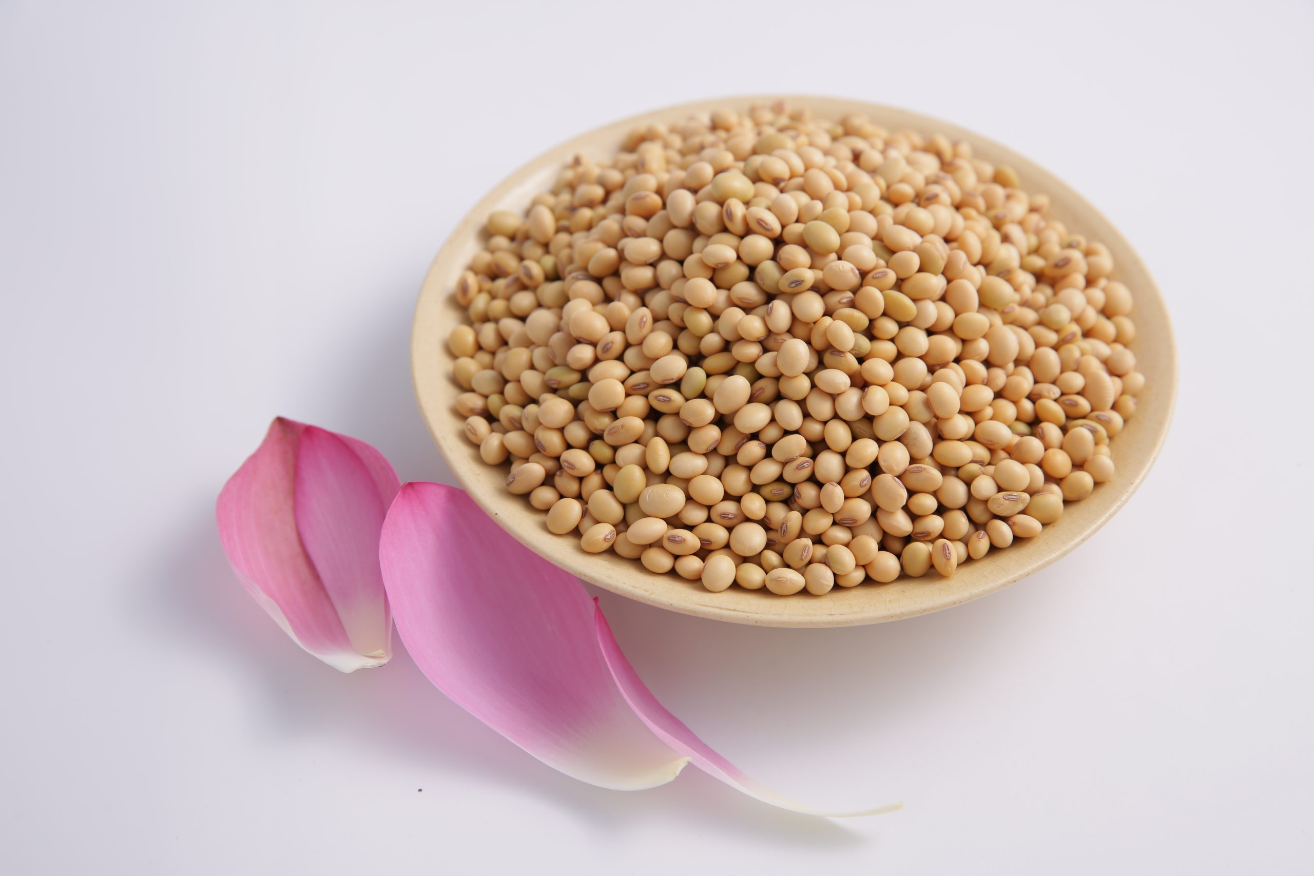 mua Đậu Nành Phú Minh Tâm Gói 450g