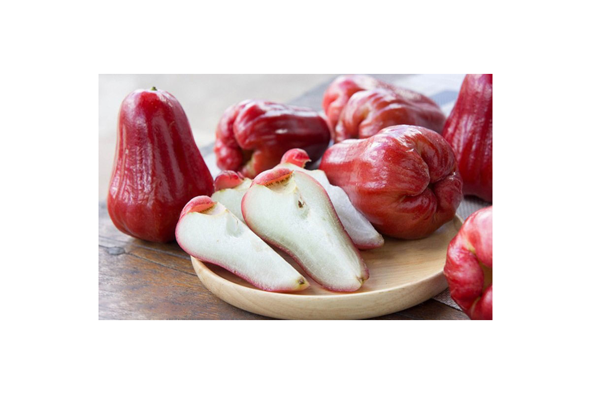 Mận Đỏ An Phước