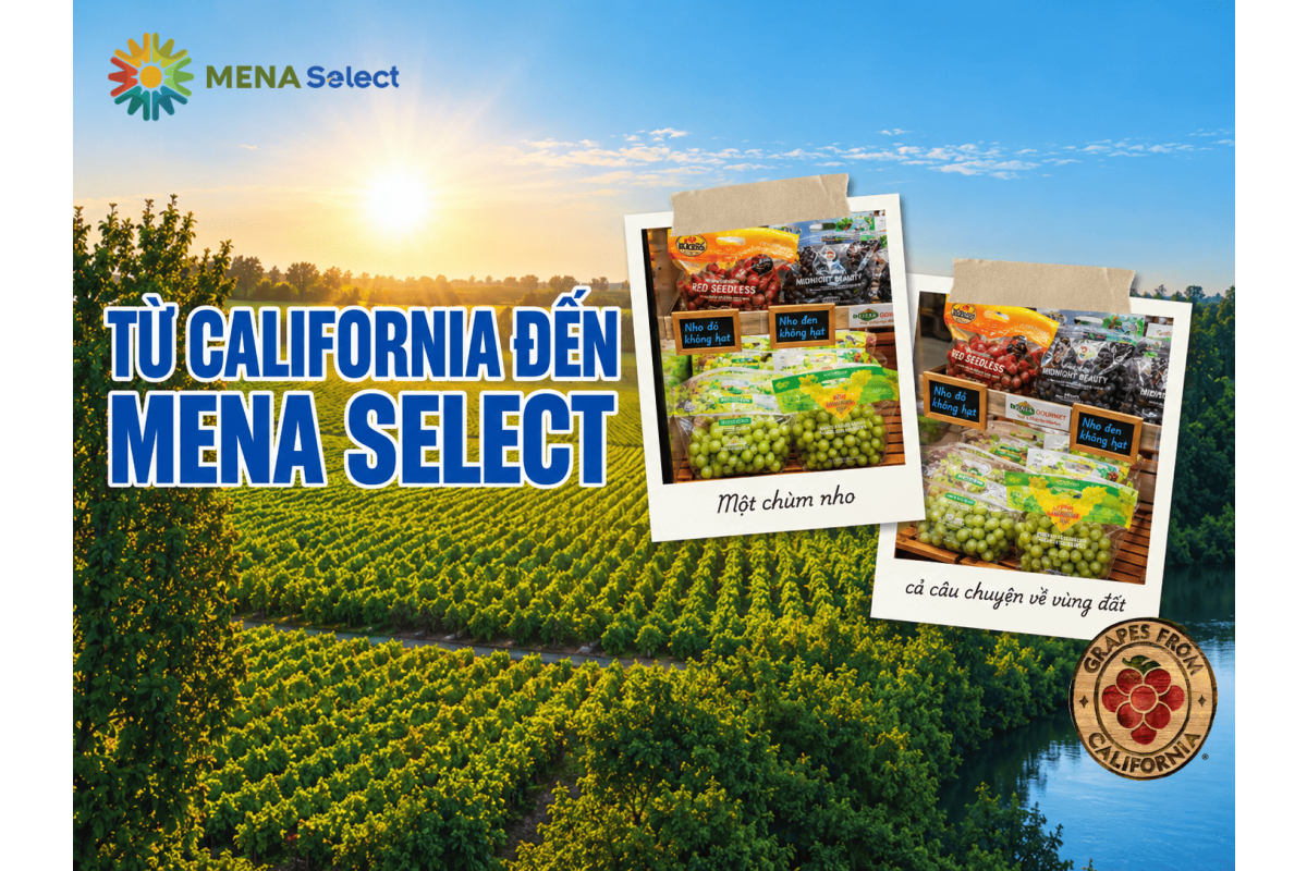 Nho California - Hành Trình Từ Vùng Đất Nắng Đến Bàn Ăn