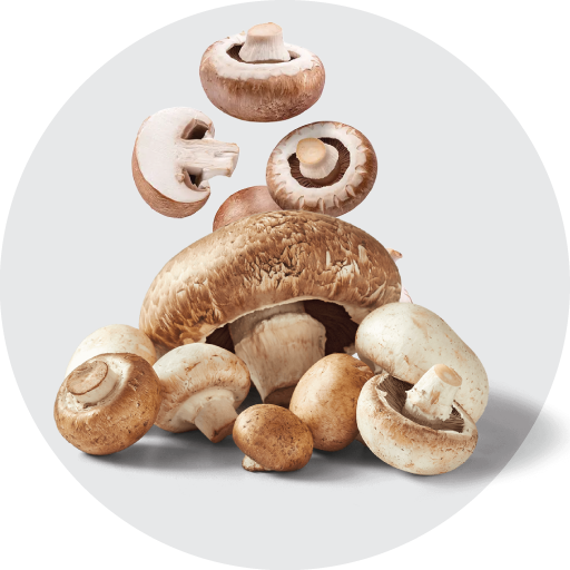 Nấm - Măng - Rong