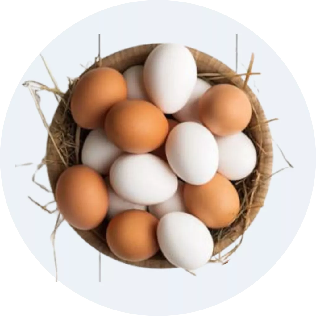 Trứng Gia Cầm