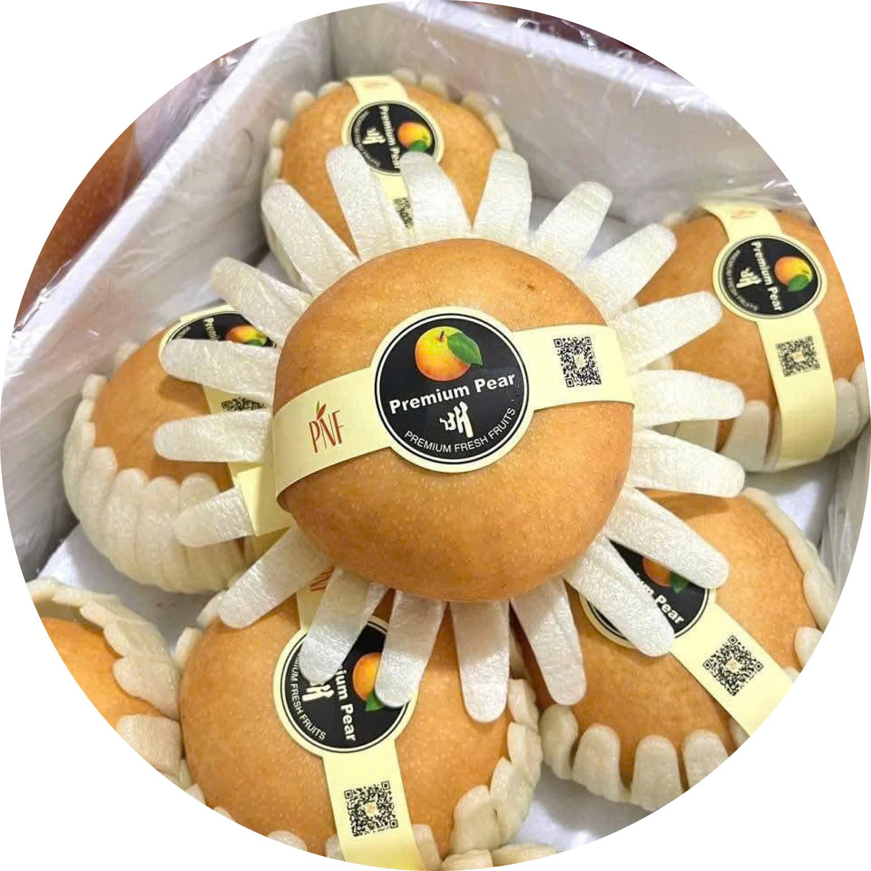 Trái Cây Nhập Khẩu