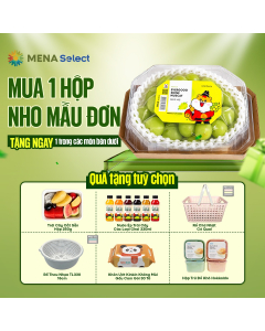 Nho Mẫu Đơn H&agrave;n Quốc Hộp 450g
