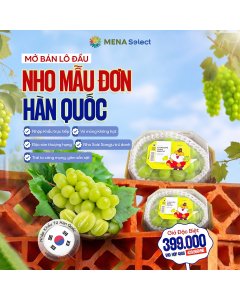 Nho Mẫu Đơn H&agrave;n Quốc Hộp 450g