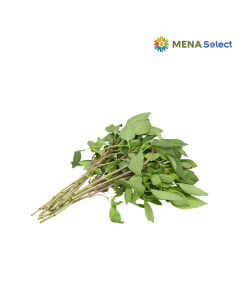 Lá Húng Quế 100g