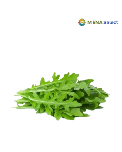 Xà Lách Arugula Rocket Đà Lạt 200g