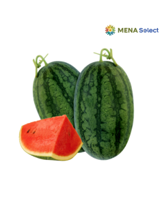 Dưa hấu MLP có hạt trái 1kg+ (0.9 - 1Kg)