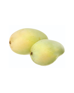 Xoài Tứ Quý MLP Loại 1 Size Trái 500g+ (0.9 - 1Kg)