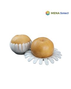Lê Hàn Quốc Hand&Hand Size 24-30