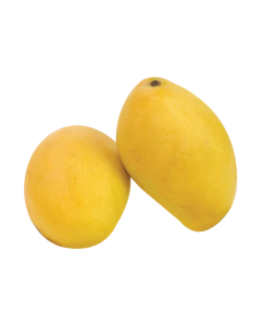Xoài keo vàng trái 500g Up (0.9-1Kg)