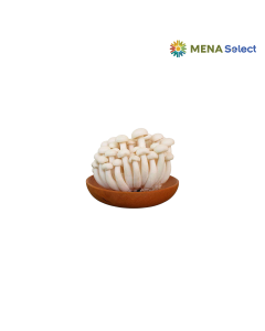 Nấm linh chi trắng gói 125g