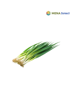 Hành Lá Hữu Cơ 100g