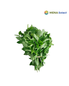 Rau Ngót Hữu Cơ 250g