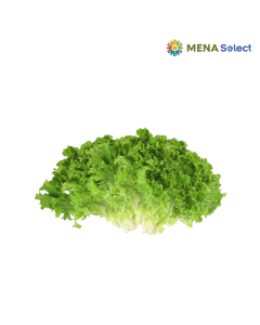 Rau Xà Lách Hữu Cơ 250g