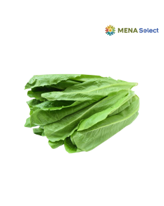 Rau Xà Lách Romain Hữu Cơ 250g