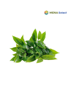 Lá Chè Xanh Hữu Cơ 150g