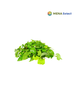 Lá Giang Hữu Cơ 100g