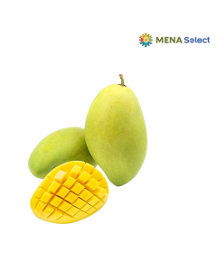 Xoài Hoà Lộc Loại 1 - Trái 500g Up (0.9 - 1Kg)