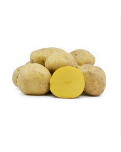 Củ Khoai Tây Vàng LAF 0.9-1Kg