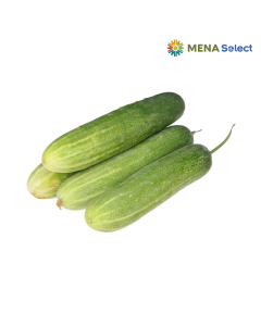 Dưa leo LAF 4-7 trái/kg (0.9 - 1Kg)