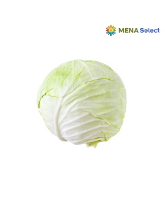 Bắp cải trắng LAF nguyên bắp 0,8–1,5kg (0,9-1Kg)