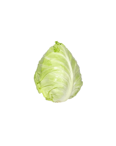 Bắp cải trái tim bắp 0.5-1.2kg