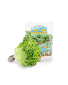 Xà Lách Thuỷ Tinh Thuỷ Canh DLG Gói 200g