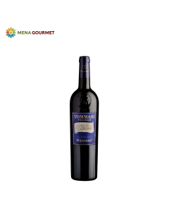 Rượu Vang Tommasi Valpolicella Ripasso 13% Chai 750ml