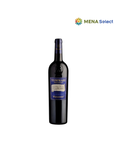 Rượu Vang Tommasi Valpolicella Ripasso 13% Chai 750ml