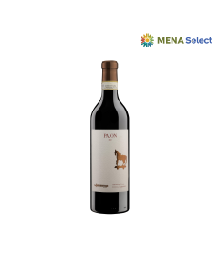 Rượu Vang Đỏ Barbera DAsti Docg Superiore Pajon Chai 750ml