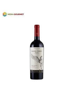 Rượu Vang Đỏ Torres Ándica Cabernet Sauvignon Gran Reserva Chai 750ml