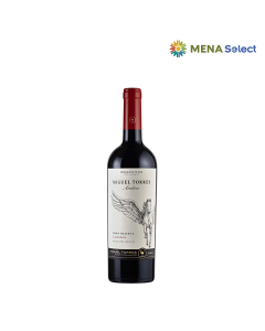 Rượu Vang Đỏ Torres Ándica Cabernet Sauvignon Gran Reserva Chai 750ml
