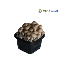 Nấm Linh Chi Nâu Hàn Quốc Hand&Hand Hộp 150g
