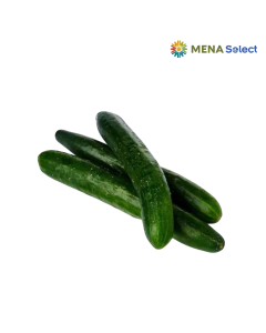Trái Dưa Leo Giống Nhật (600g)