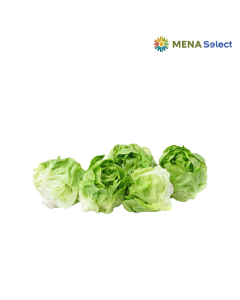 Rau Xà Lách Iceberg 500g