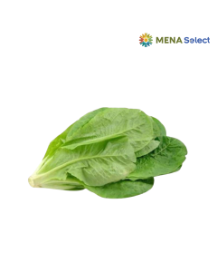 Rau Xà Lách Romaine 300g