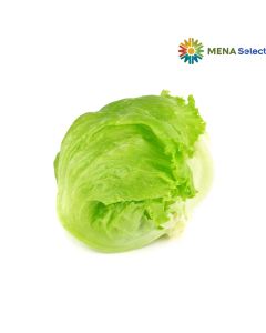 Rau Xà Lách Iceberg Thủy Canh 350g