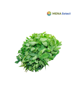 Rau Ngót Hữu Cơ (gói 250g)