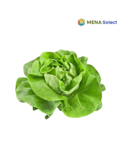 Xà Lách Mỡ BioNgon Gói 150-170g