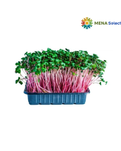 Mầm Cải Đỏ Việt An 150g