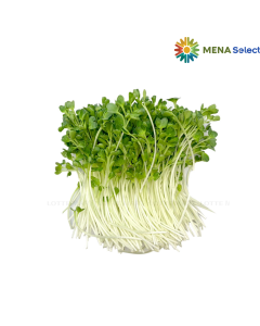Mầm Cải Trắng Việt An 150g